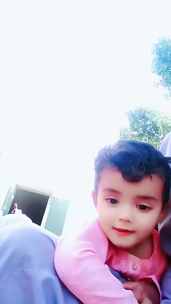 @shabazamir825