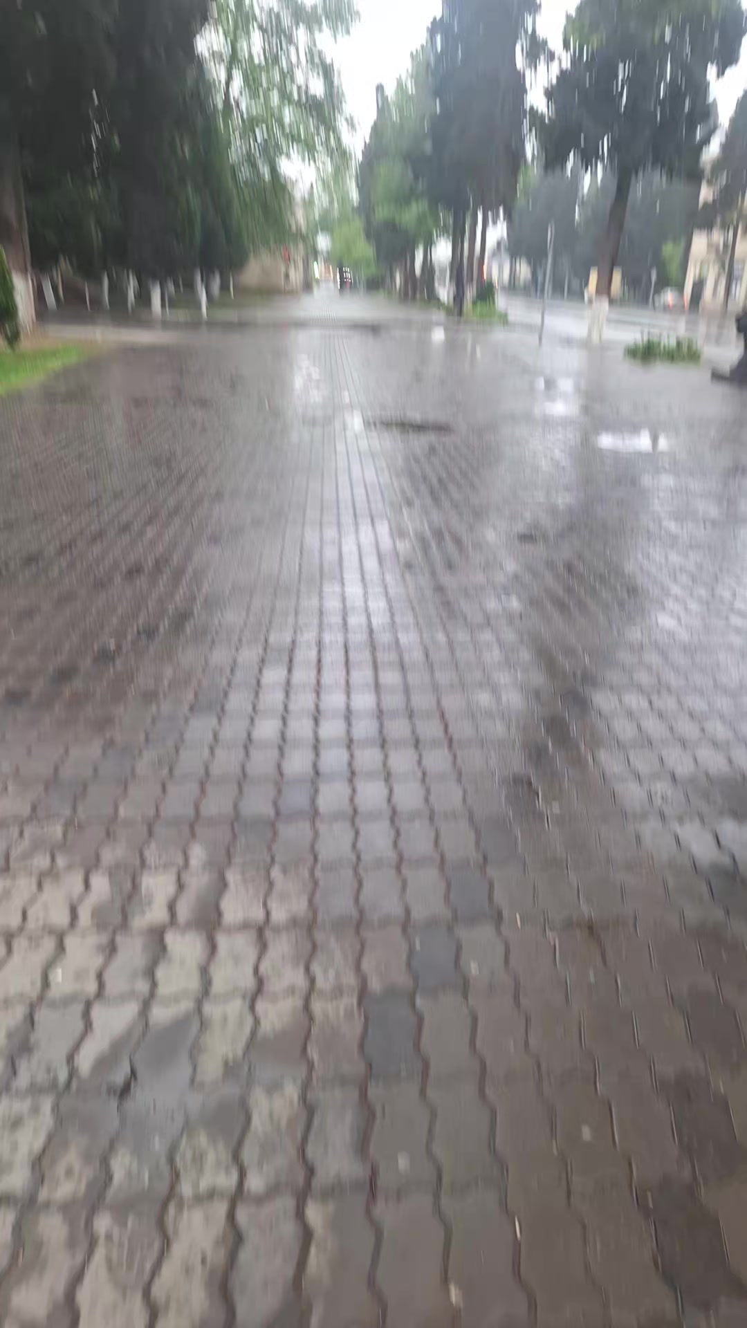 @Paşayev.İ