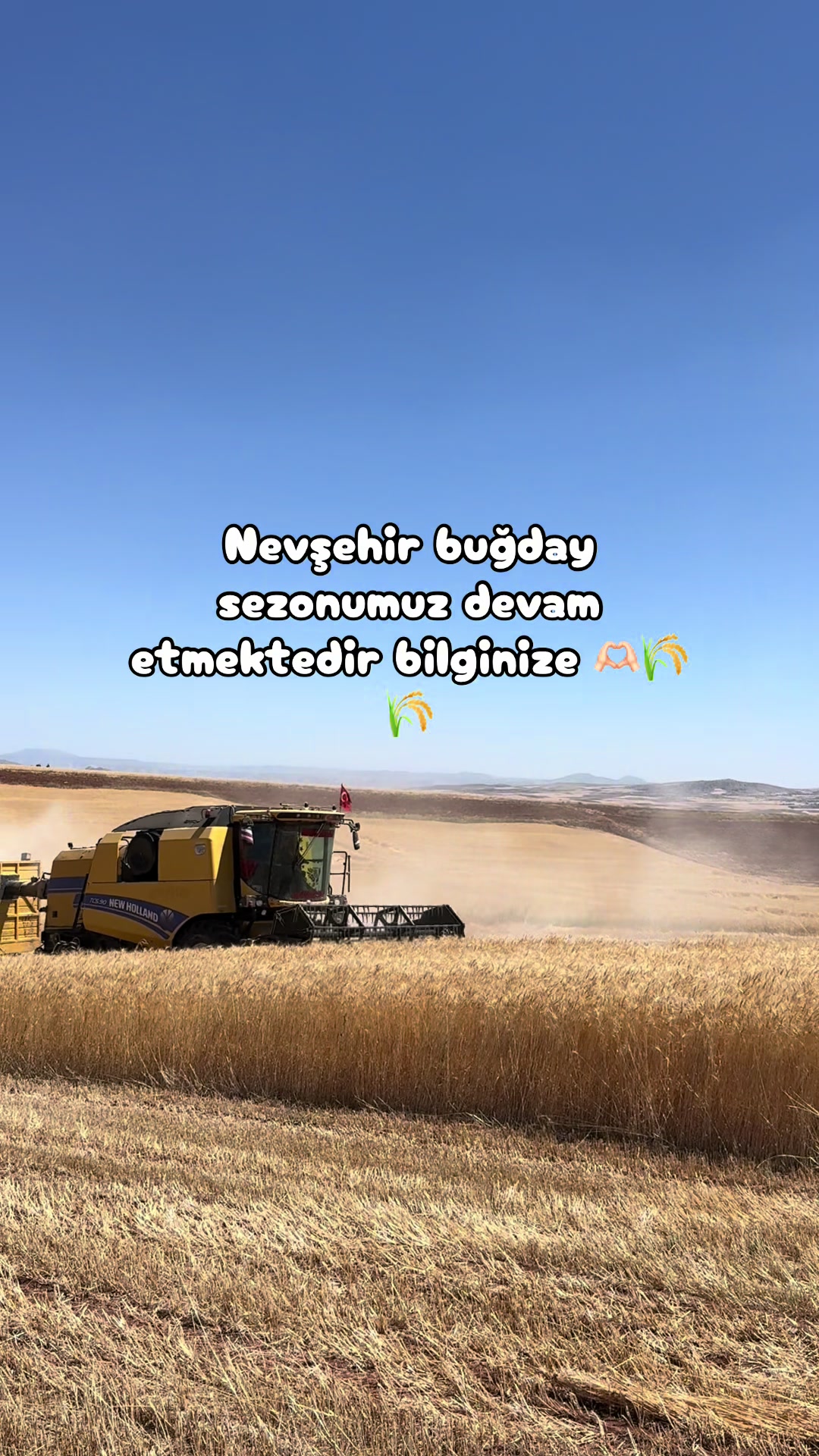 @Mahmut AĞDOĞAN27