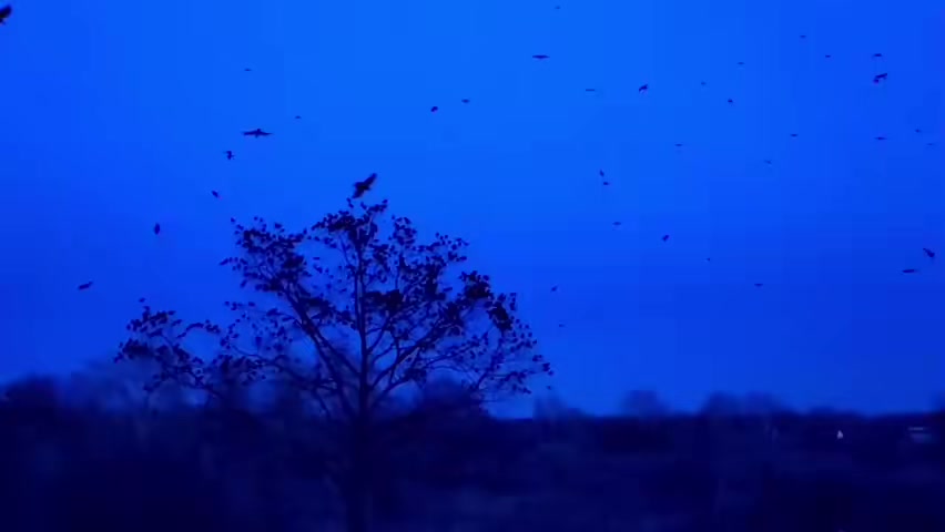 @Горячая девушка⛎