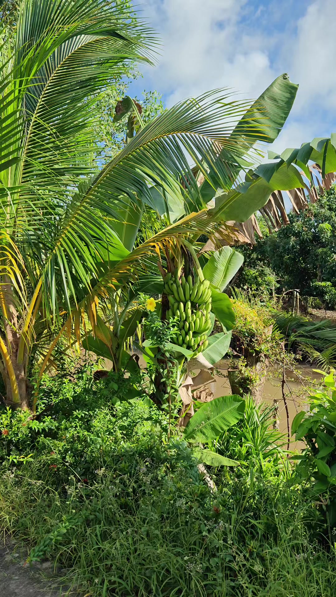 @Bất Động Sản Cần Thơ