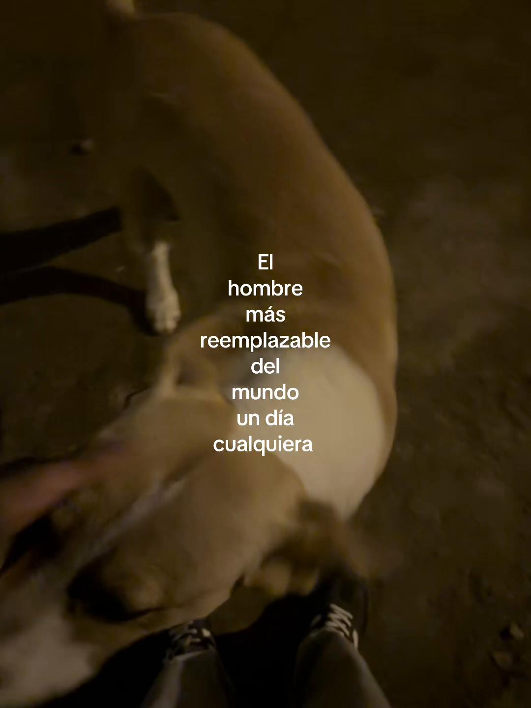@Me llamo Efra