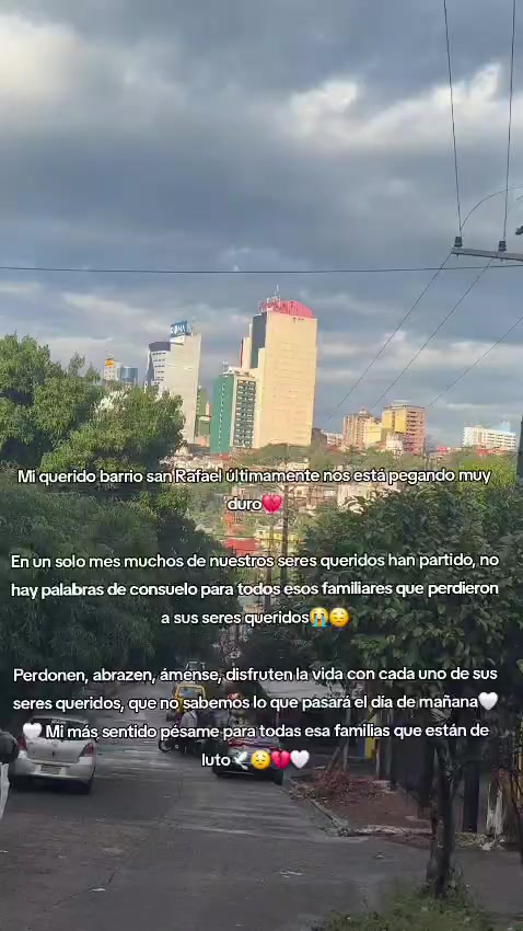 @Daniel Insfrán
