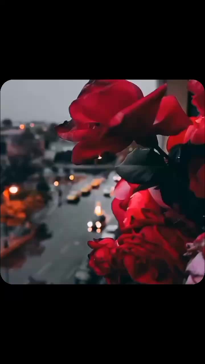 @𝓐𝓲𝔃𝓾🥀