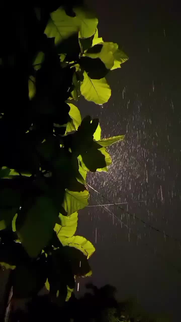 @๐ฒ๐๐๐๐๐๐๐
