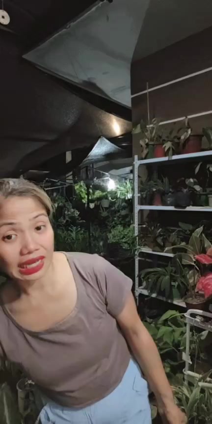 @mhie_nie gorgeous plantita