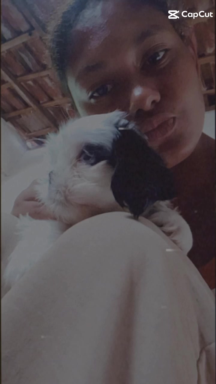 @Rosinha_Santos23