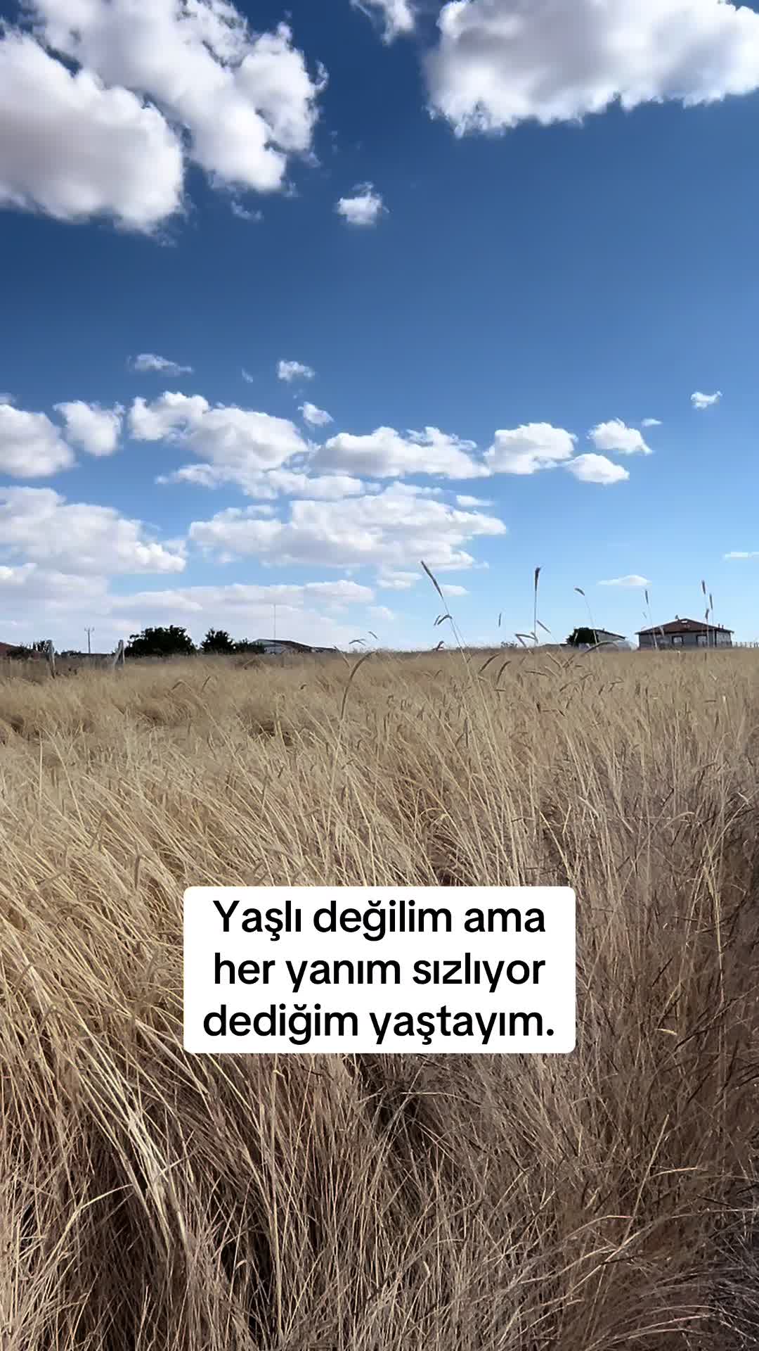 @🦋♾️ Zeyzey Zeynep 06 71 ♾️🦋
