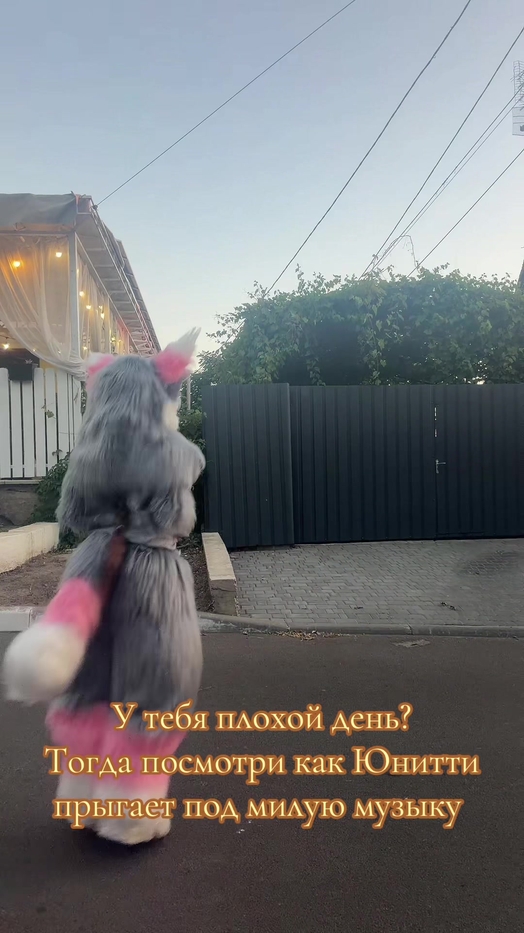 @🌷❀。˚⋆𝒀𝒖𝒏𝒊𝒕𝒕𝒚⋆˚。❀🌷
