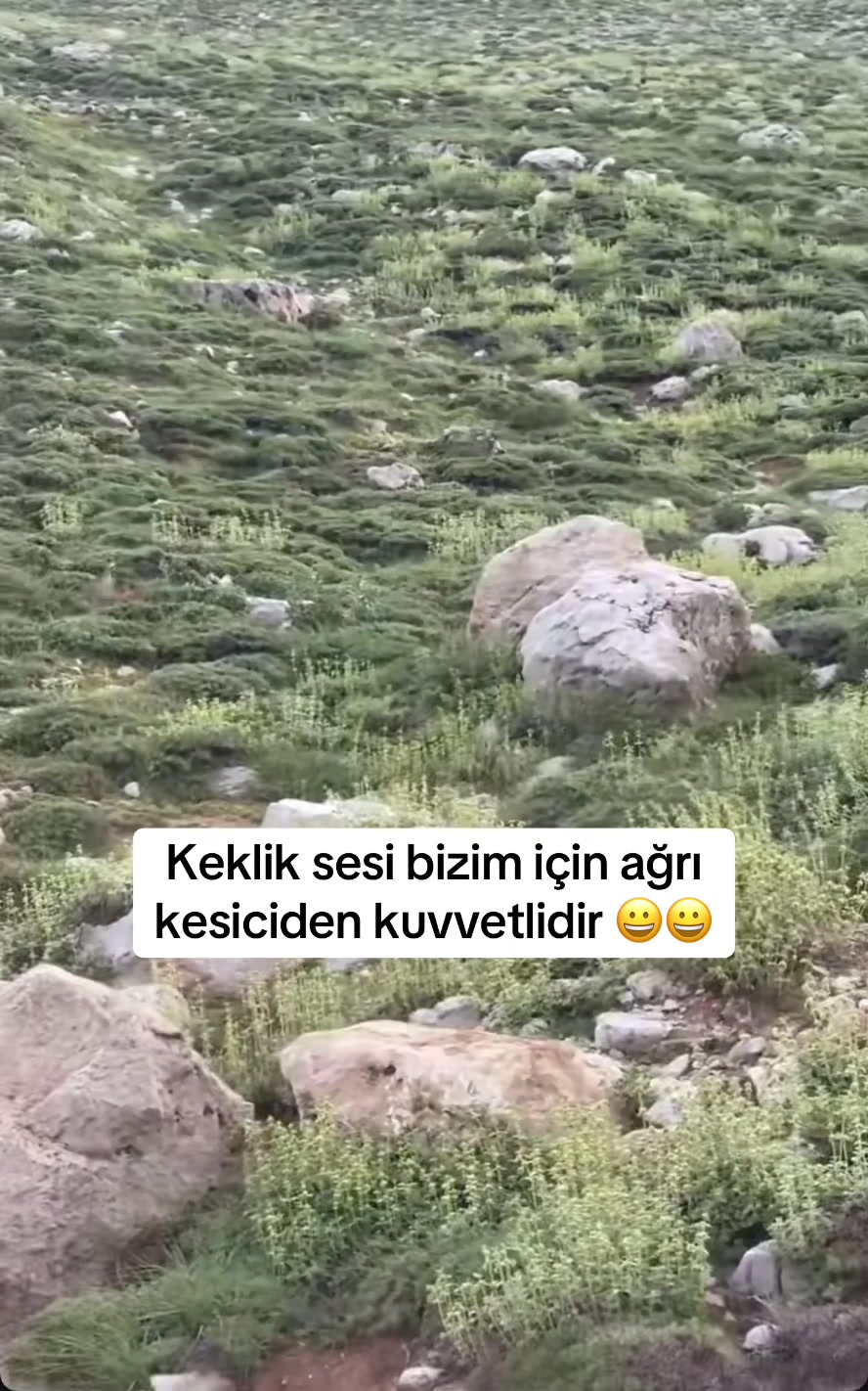 @🏆🏆S&Uuml;LEYMAN🏆🏆