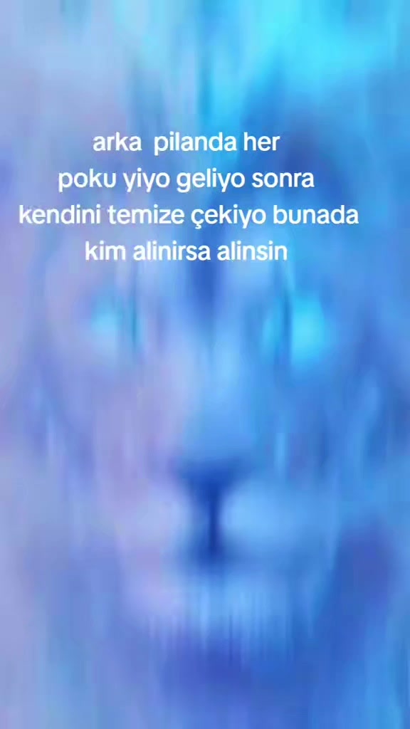 @NURİ METİN