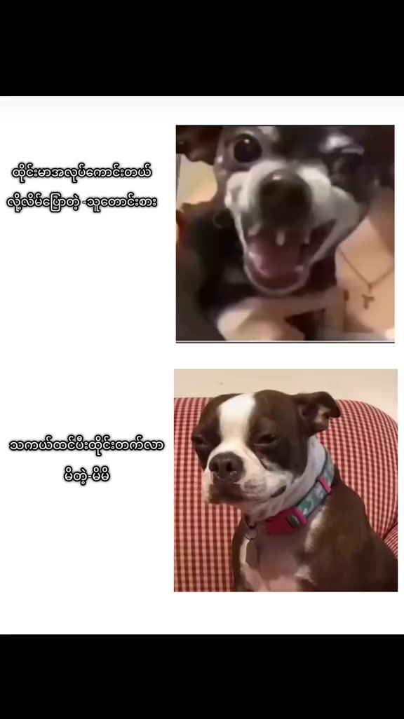 @ko thant🔪