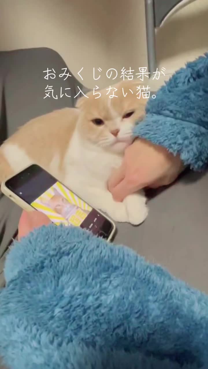 @らるたんと飼い主さん🌈🐾໊