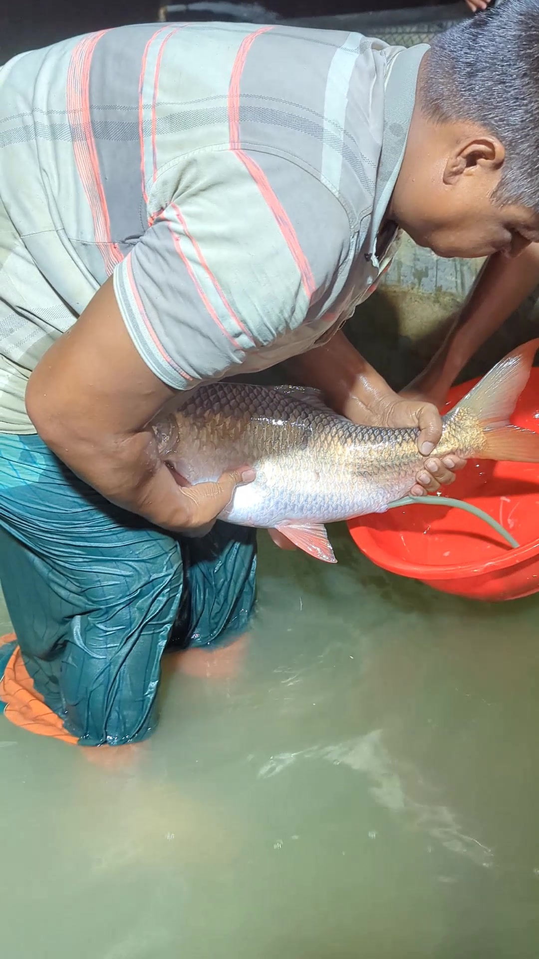 @Fish Lovers Bangladesh