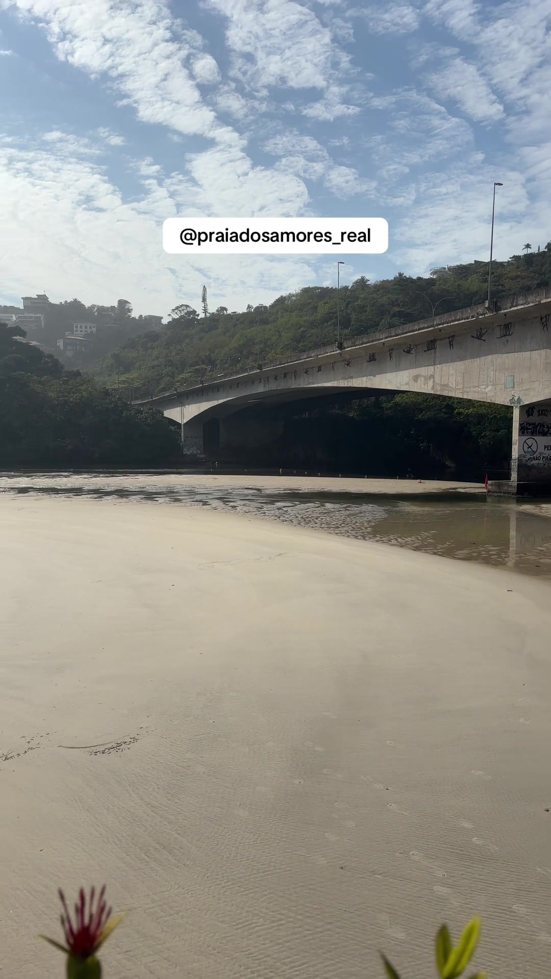 @Praia dos Amores Real