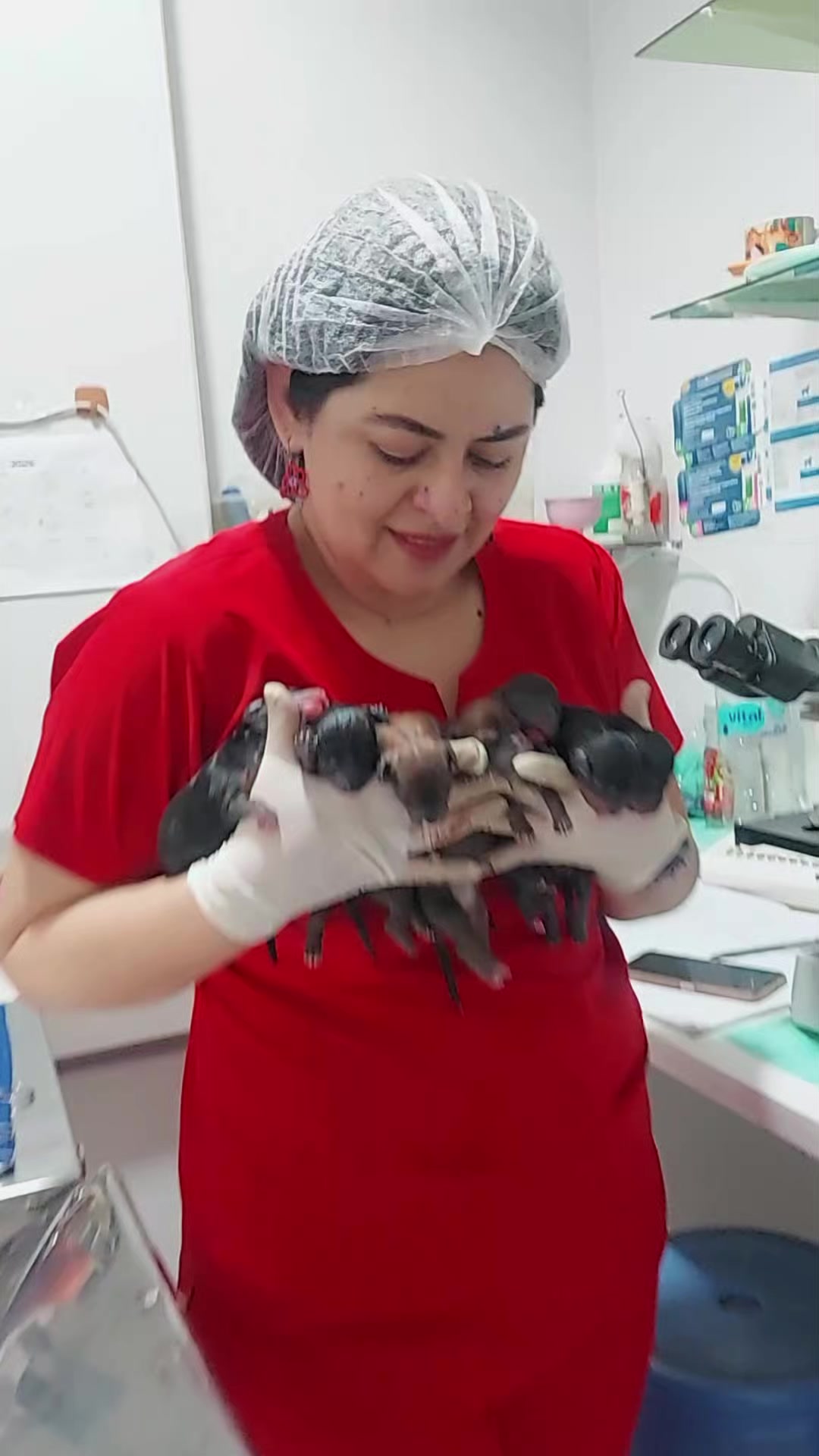 @VETERINARIA VET CENTER 💜
