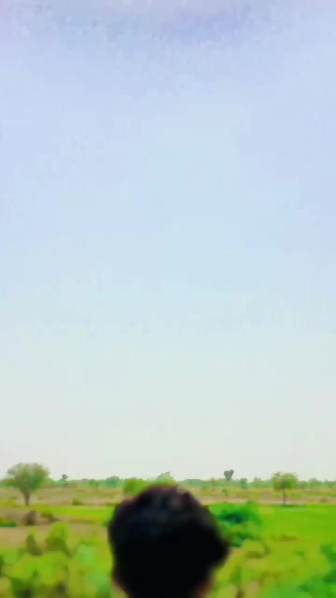 @ٽنڊي باگي جو شھزادو اللہ بخش🥀