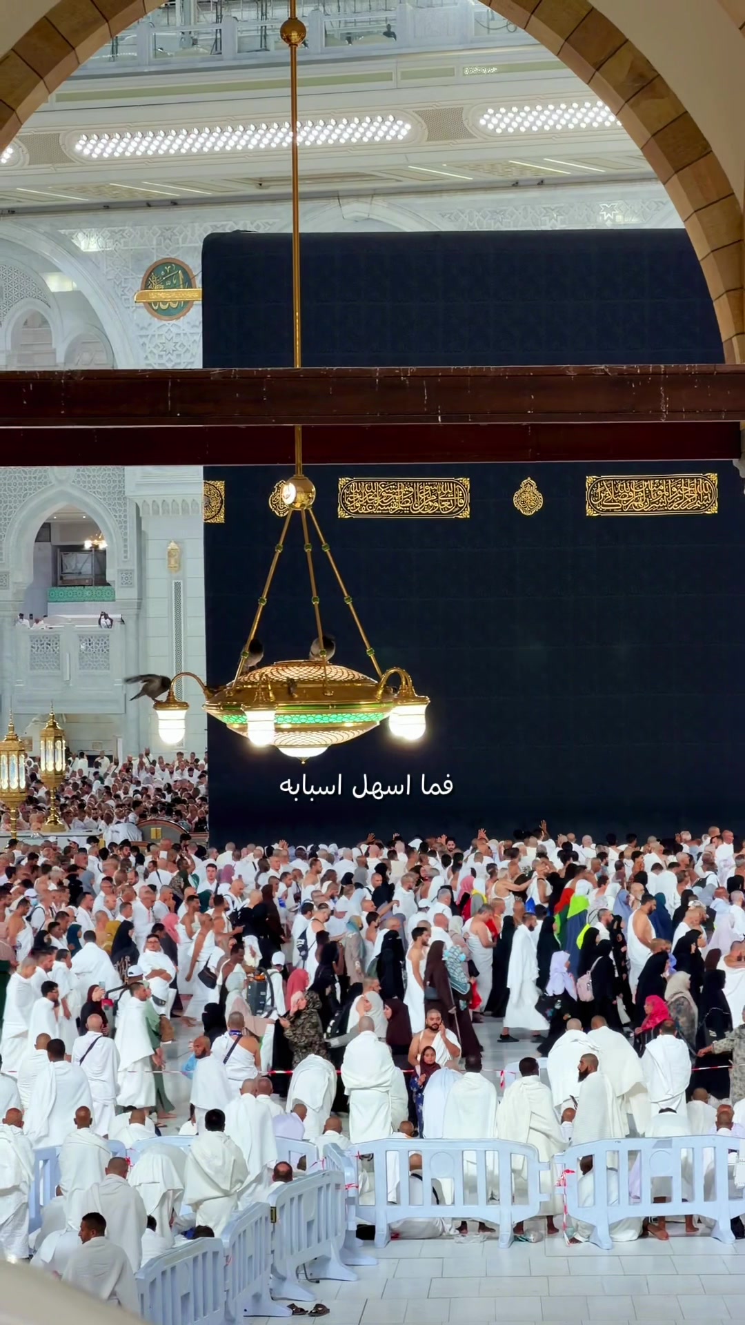 @حاتم الحربي