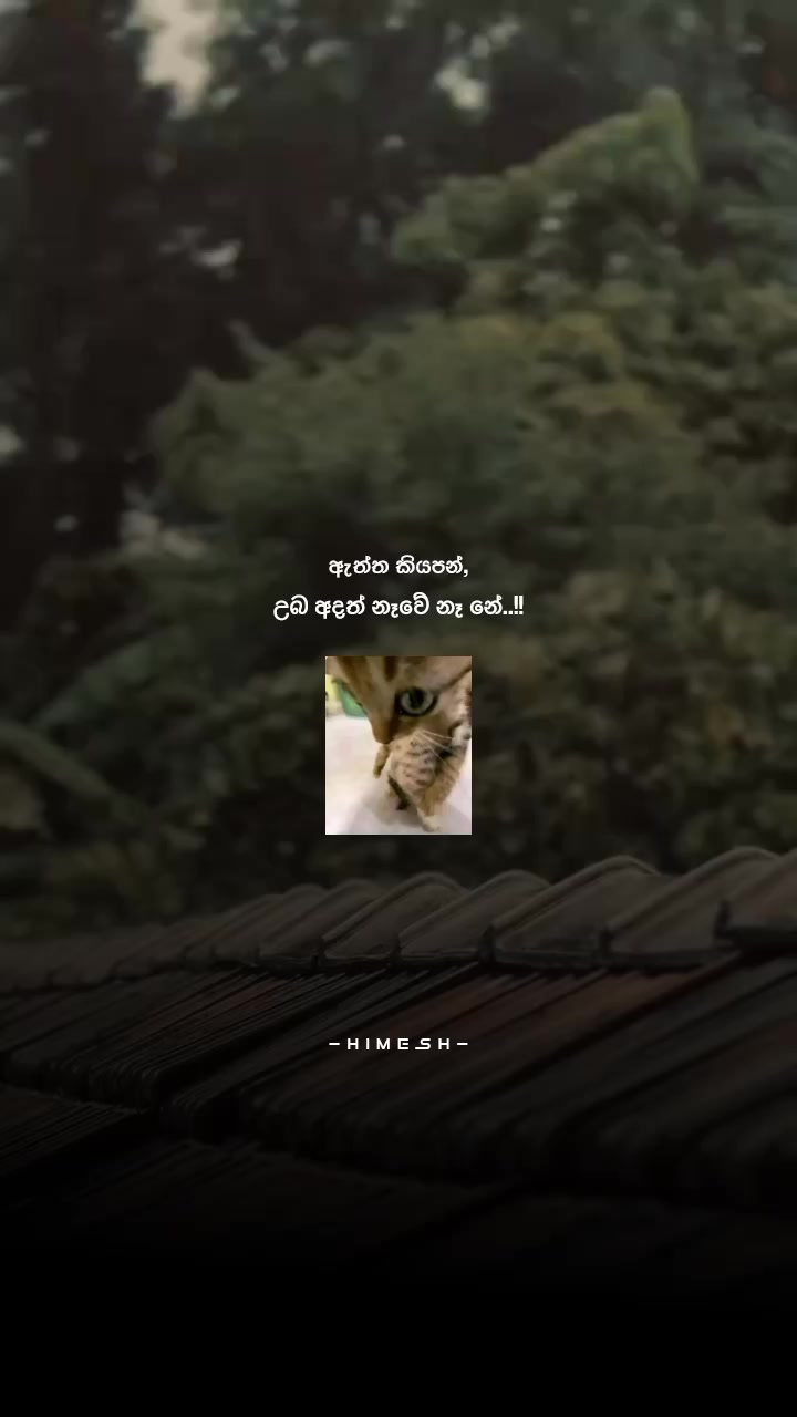 @𝐇𝐈𝐌𝐄𝐒𝐇 