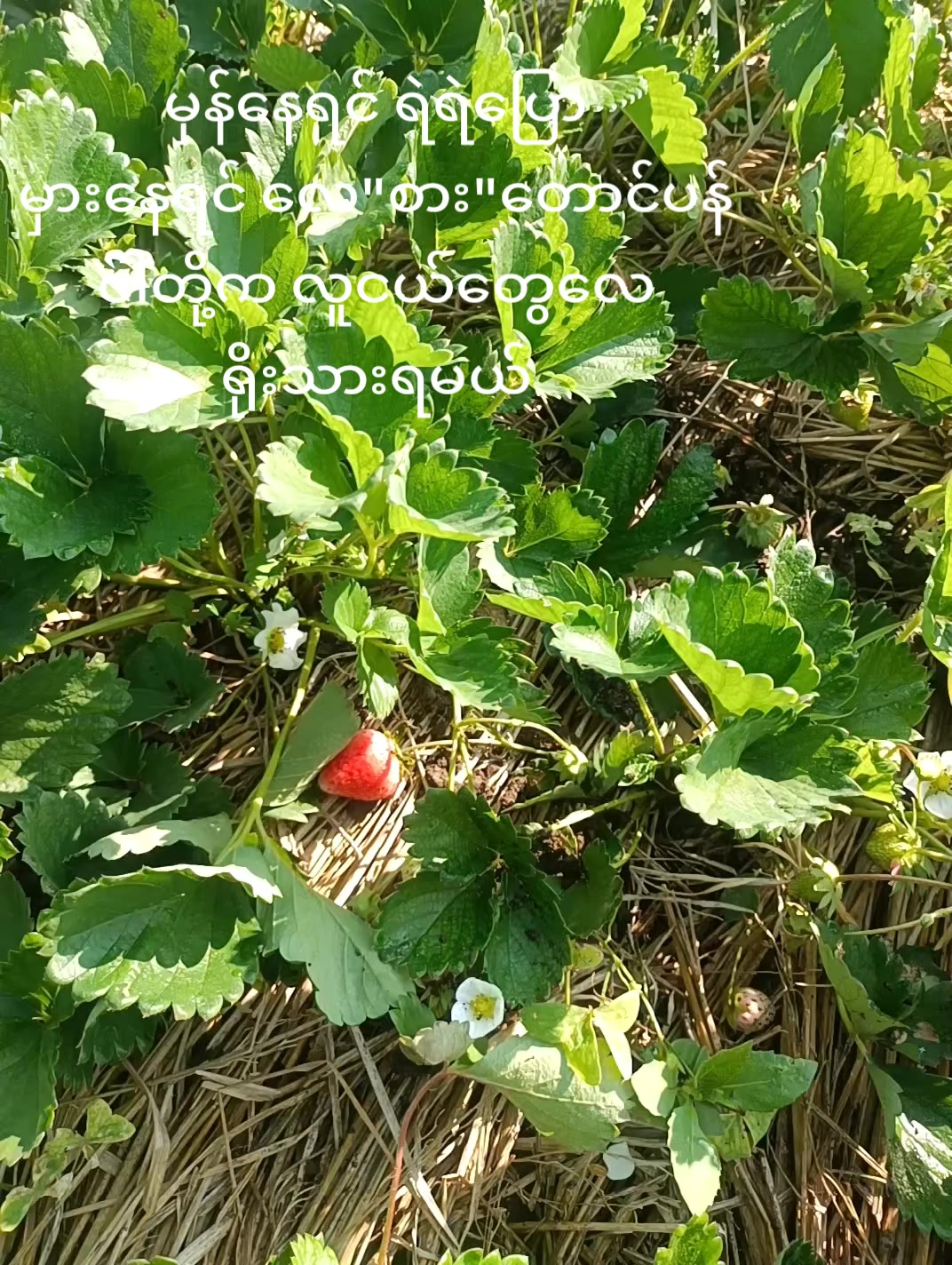 @ʙᴇɴᴅᴏᴋɪ(ᴛʜɪ ʜᴀ)
