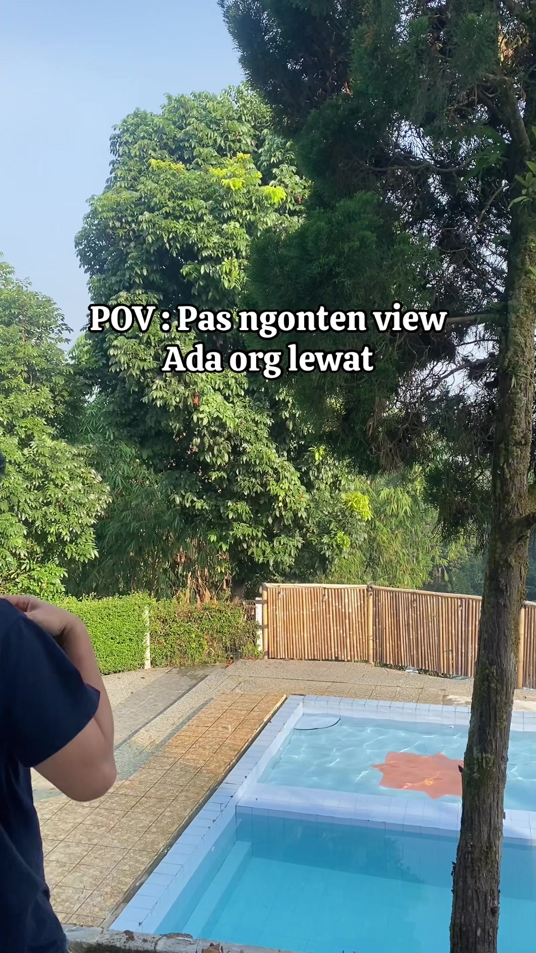 @papidamski
