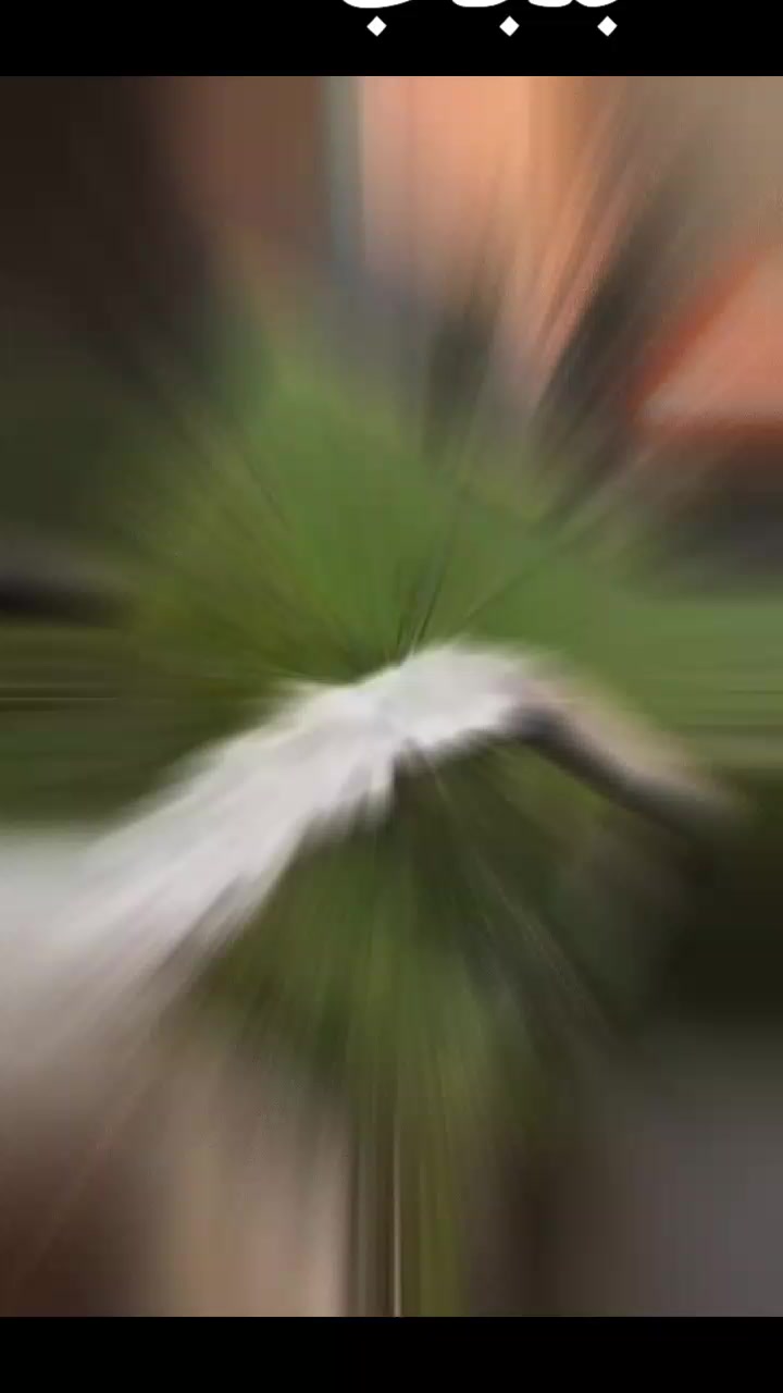 @پنجاب
