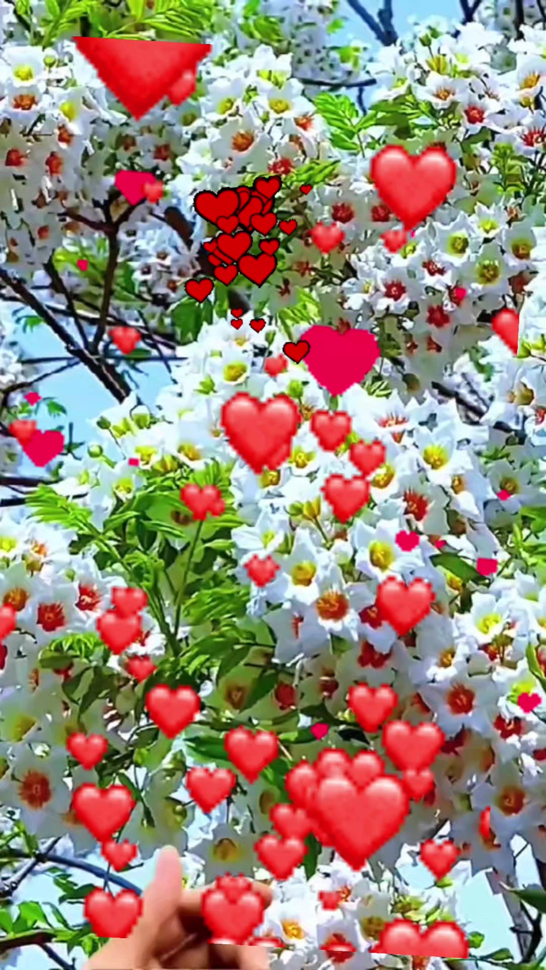 @❤️❤️❤️