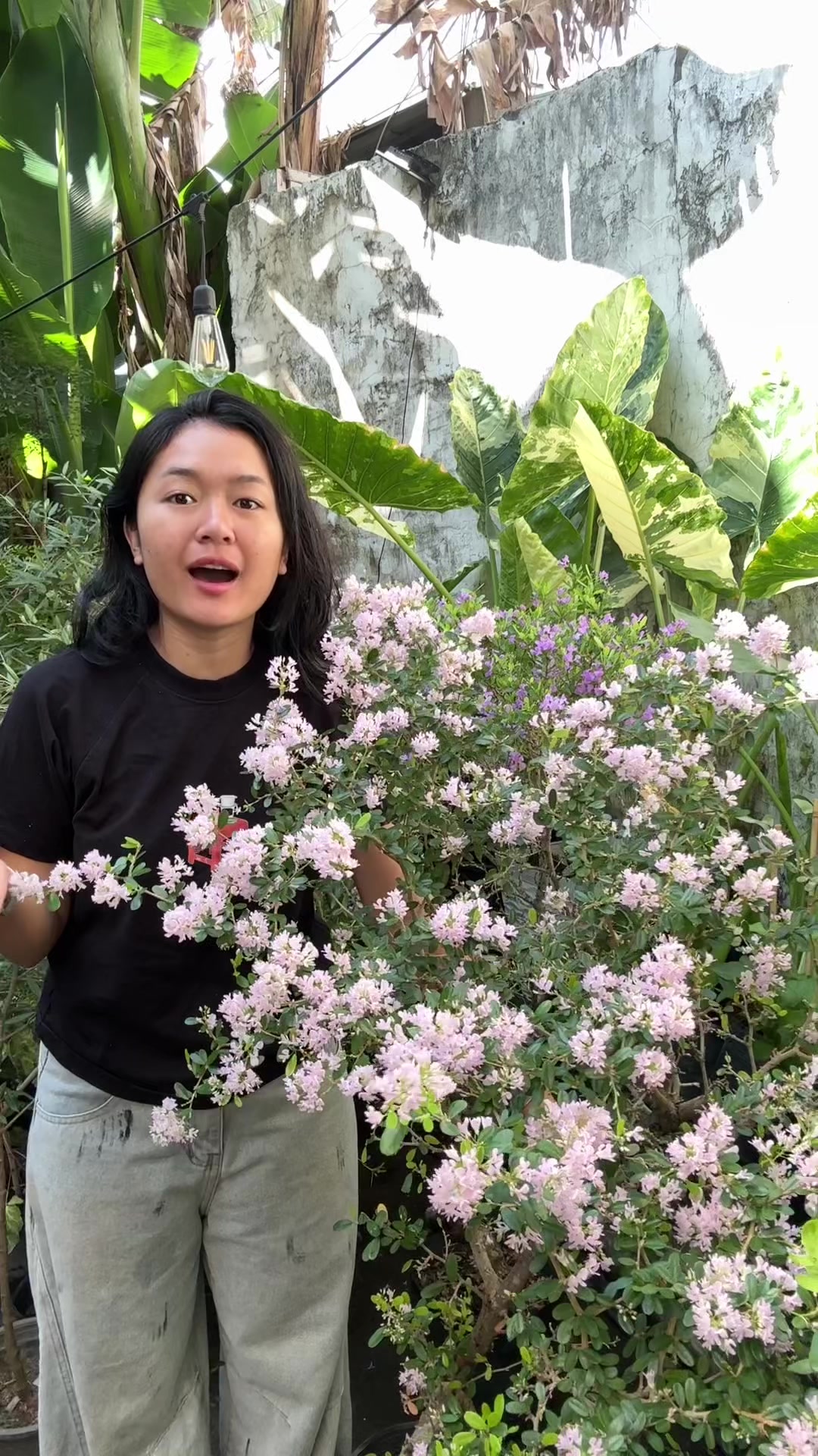 @Tú Nhi - Let's play plant