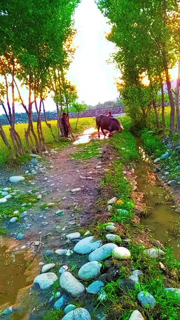 @ASAD Sarkar123