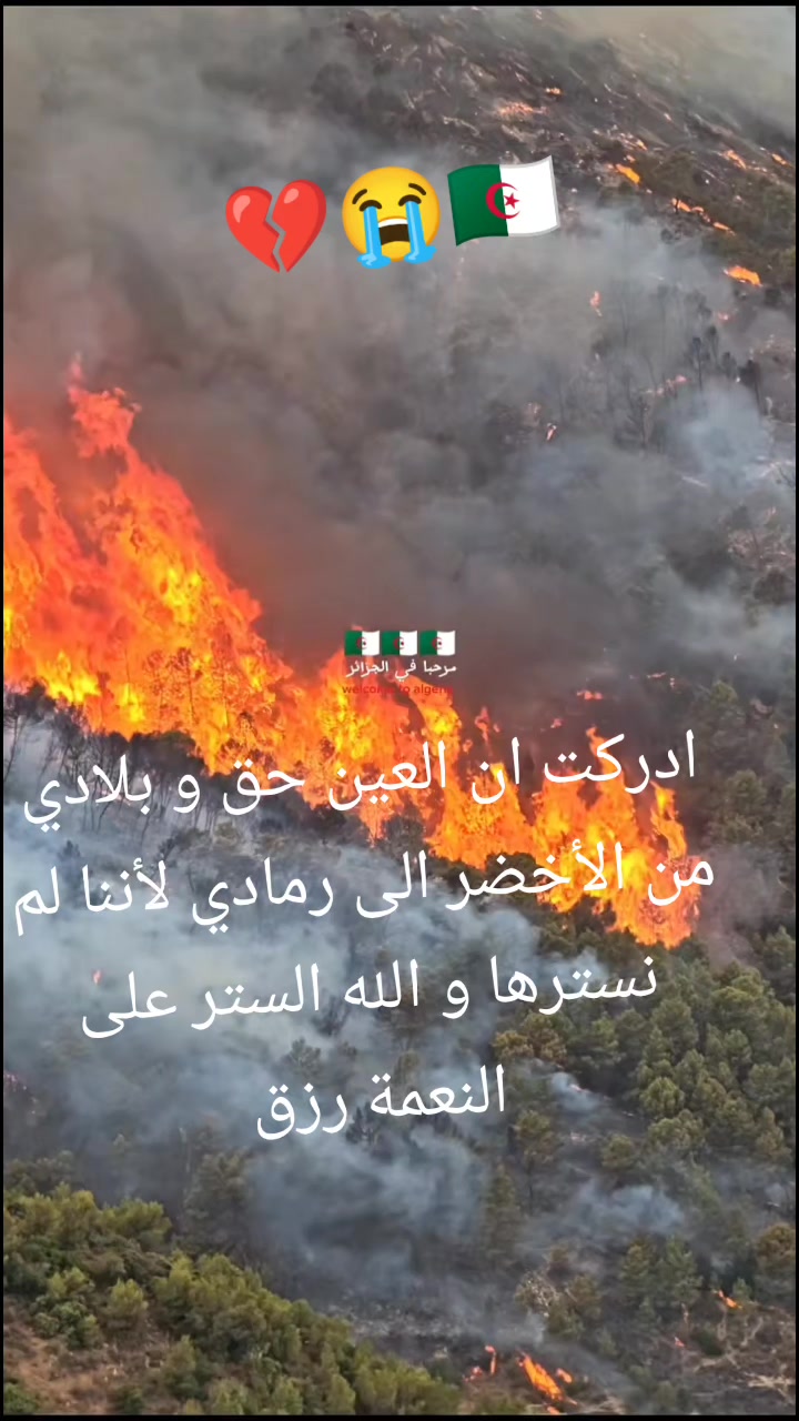 @Tâÿęb Bîjøù💊19🇩🇿