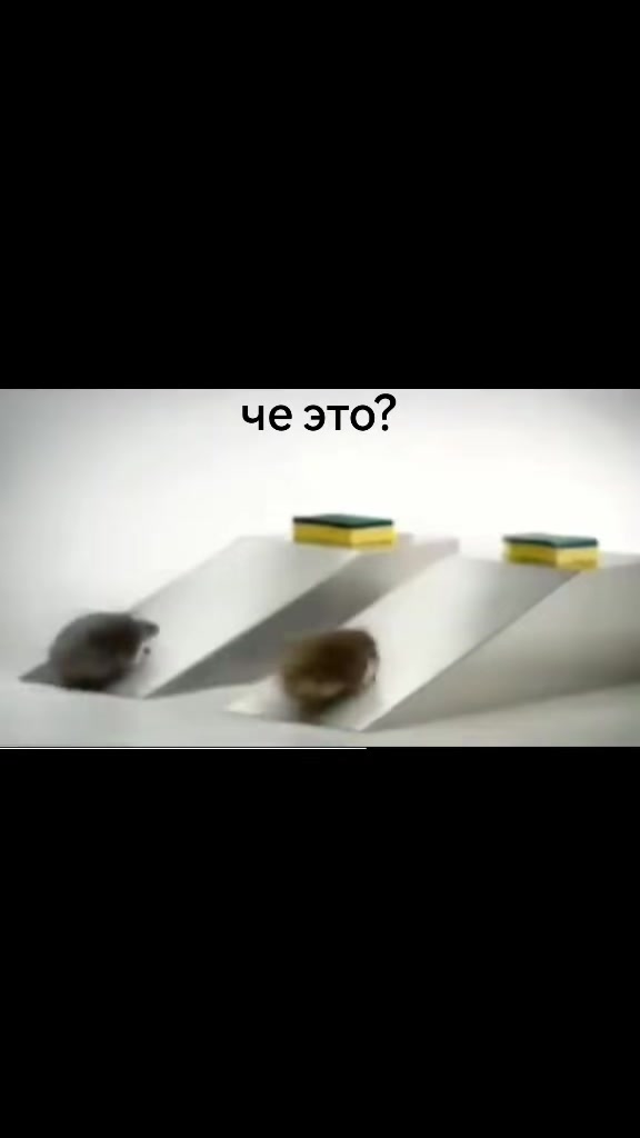 @nokia106z