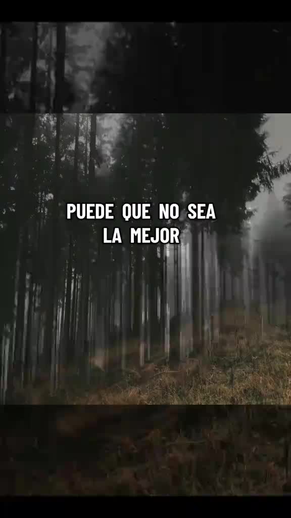 @Lilian Galindo