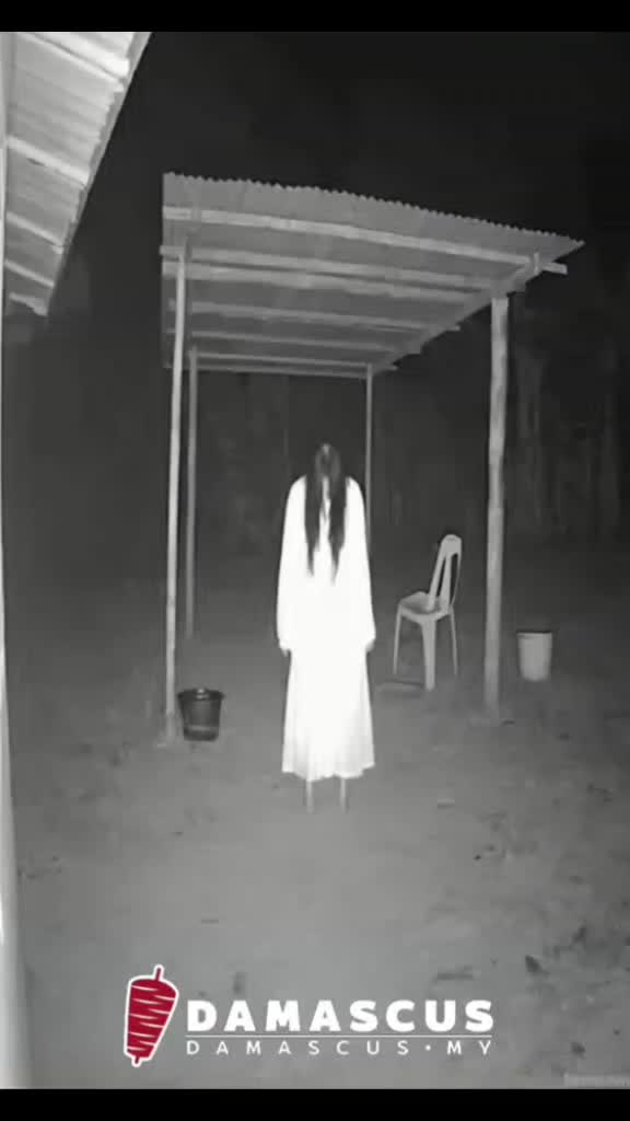 @ZH7