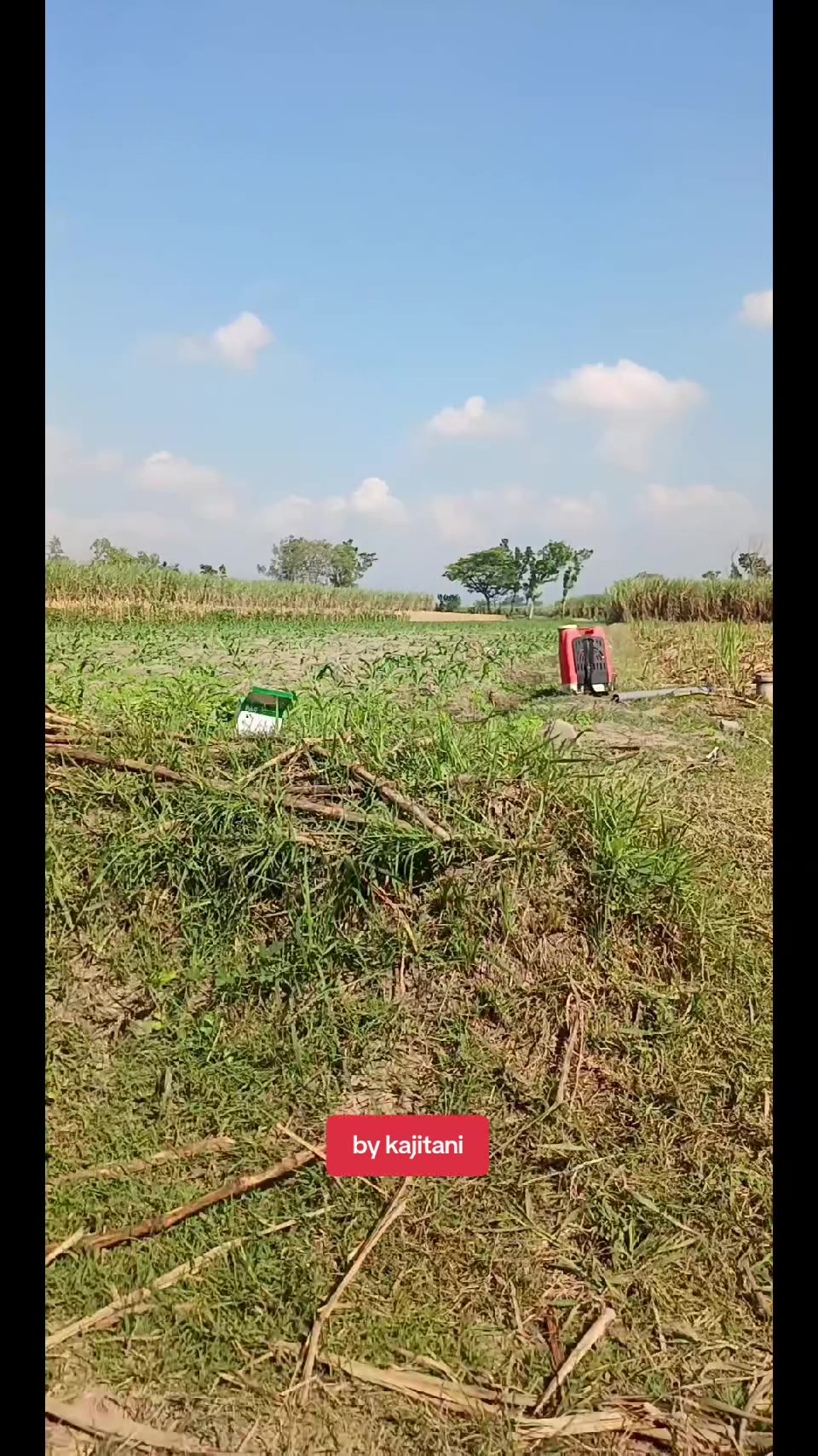 @KAJITANI