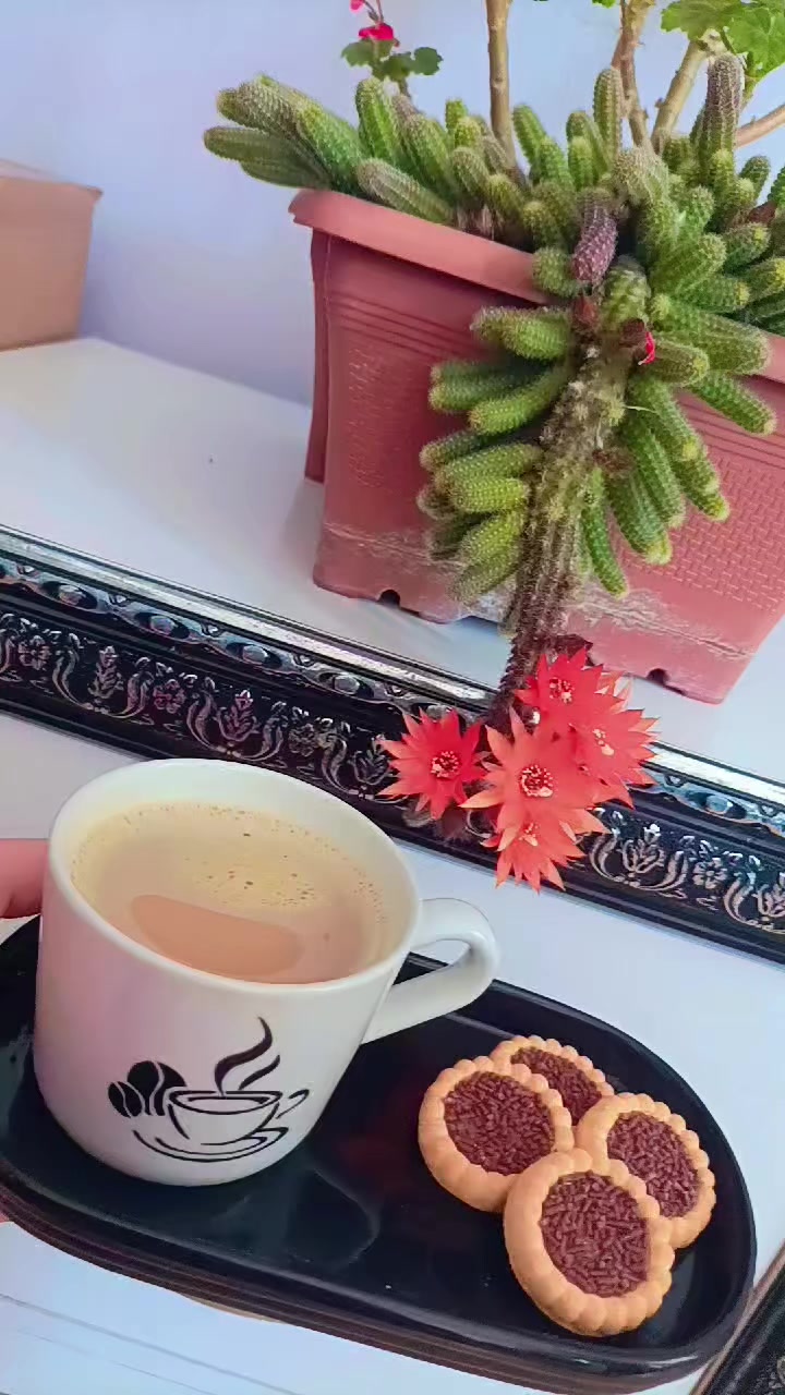 @بنت سوريا