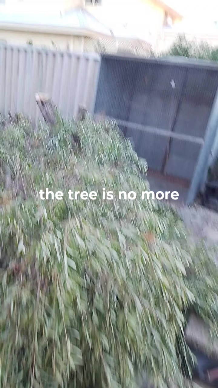 @Luke