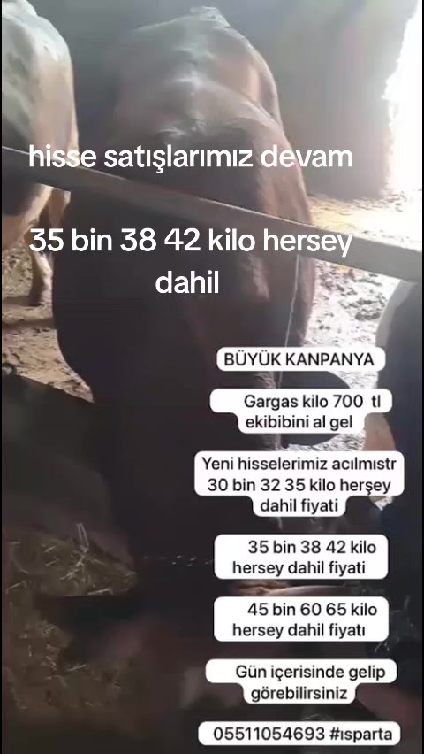 @Ftkemal