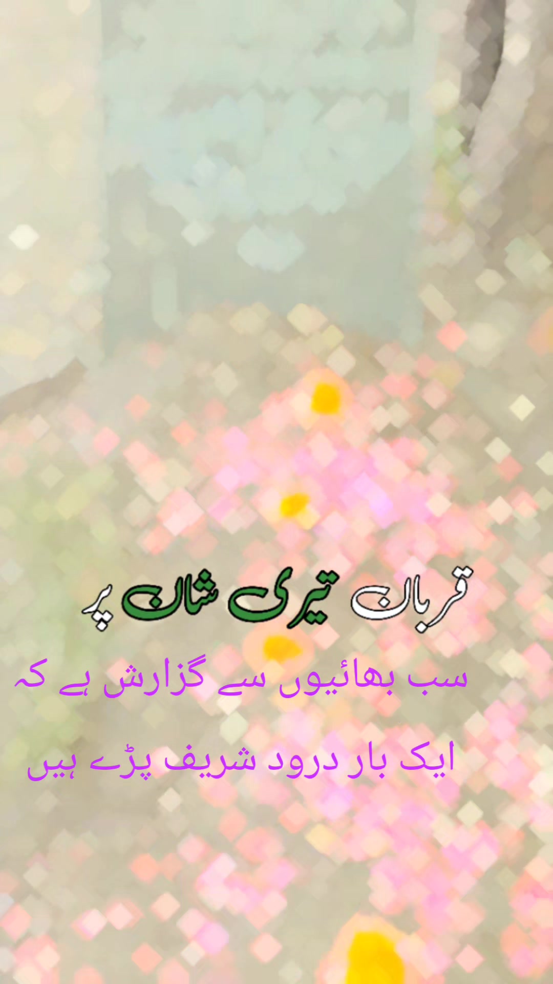 @مدینہ گروپ