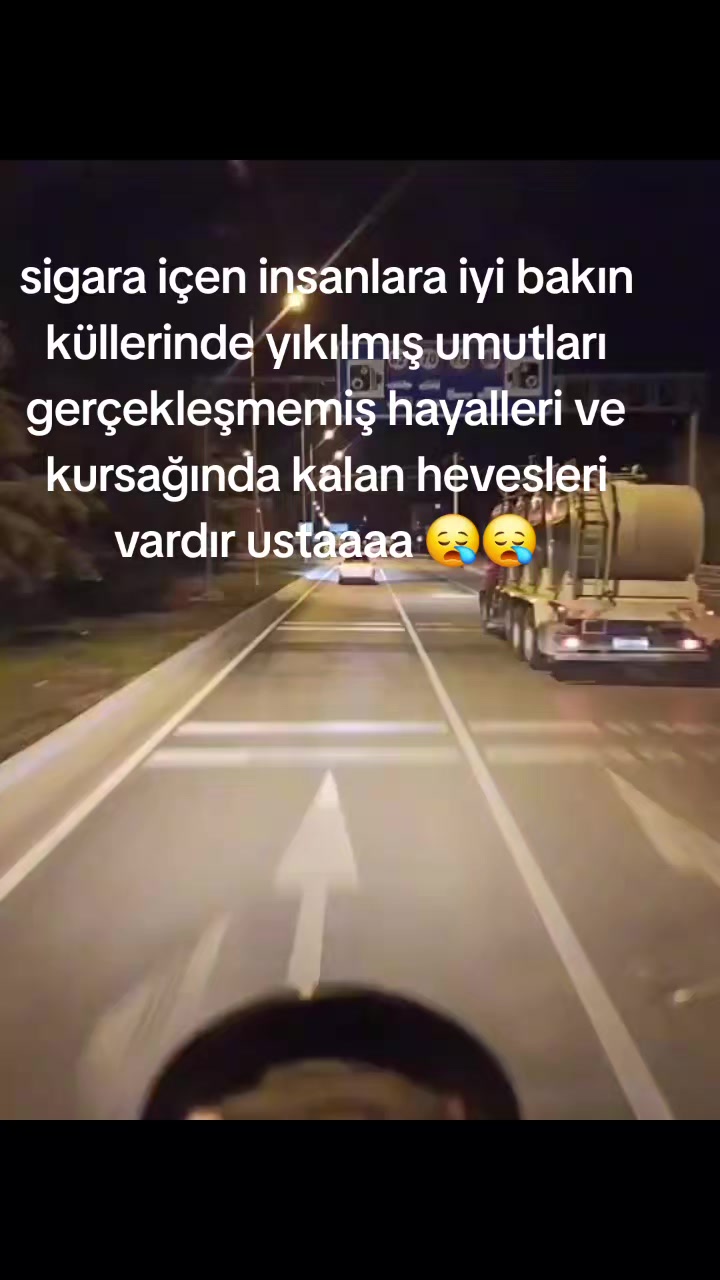 @⚜️wolf usta ⚜️