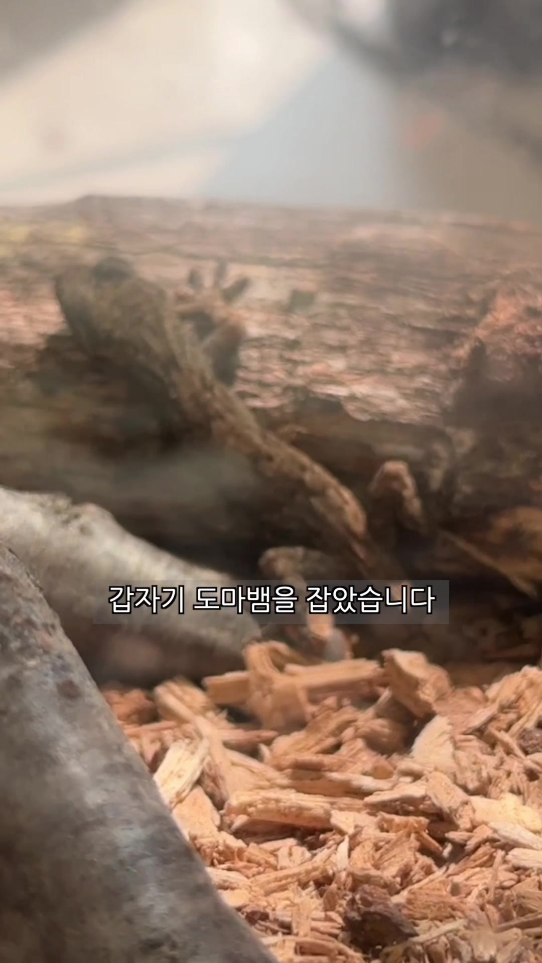 @리뷰하는회사원