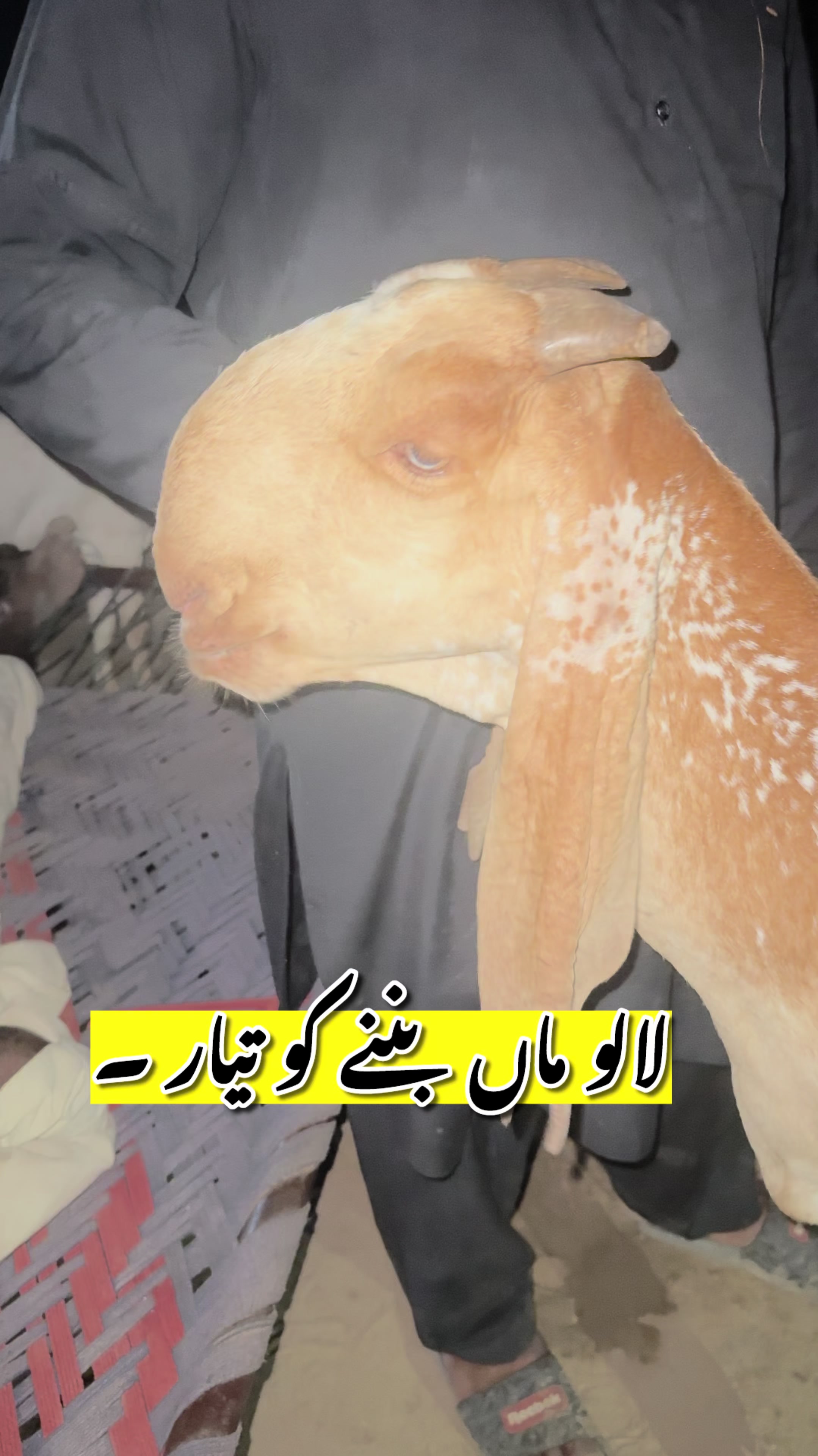 @Dr.Mohsin