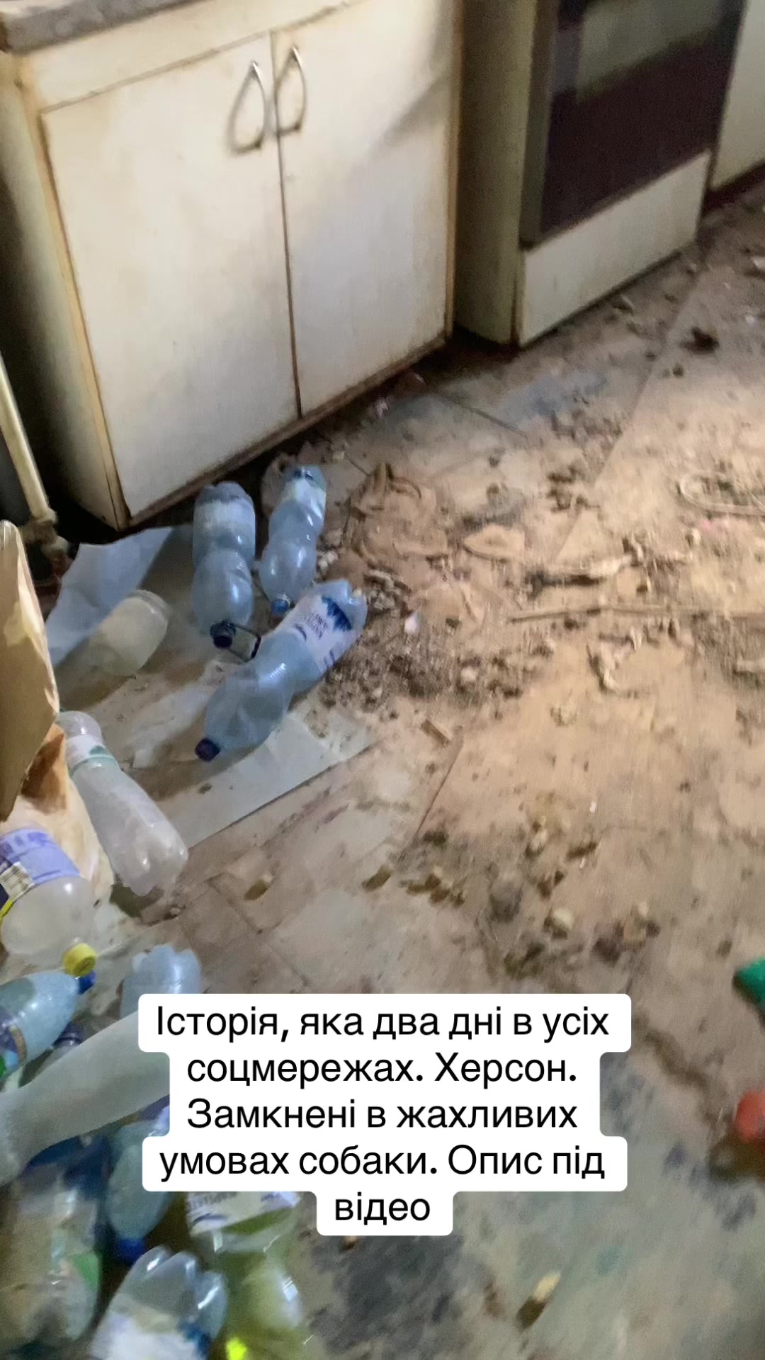 @ukolovanastyusha7777