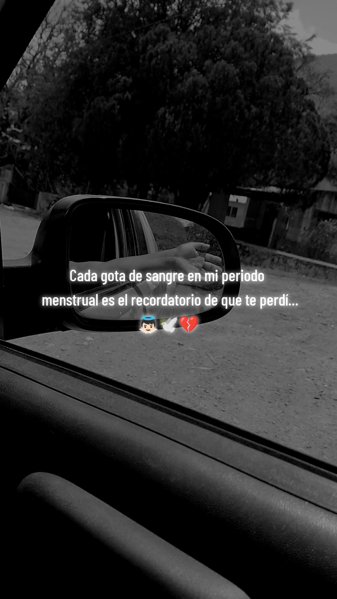 @vecky