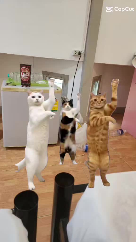 @POP GAMER TV.S.7 TikTok