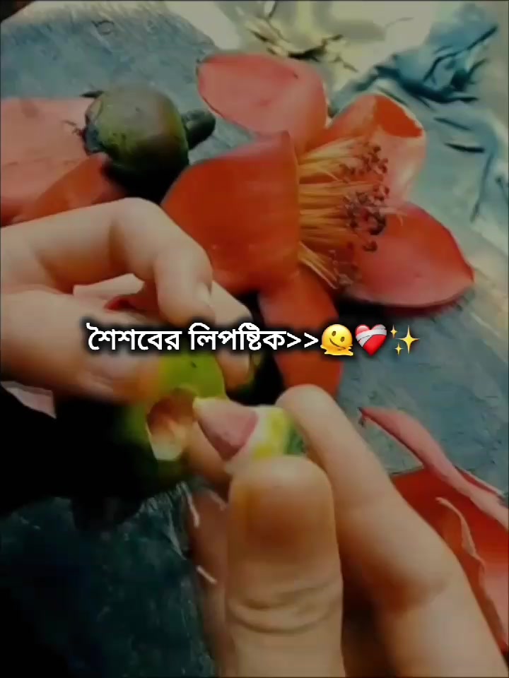 @𓂃𝒛𝒂𝒚𝒂-!🦢