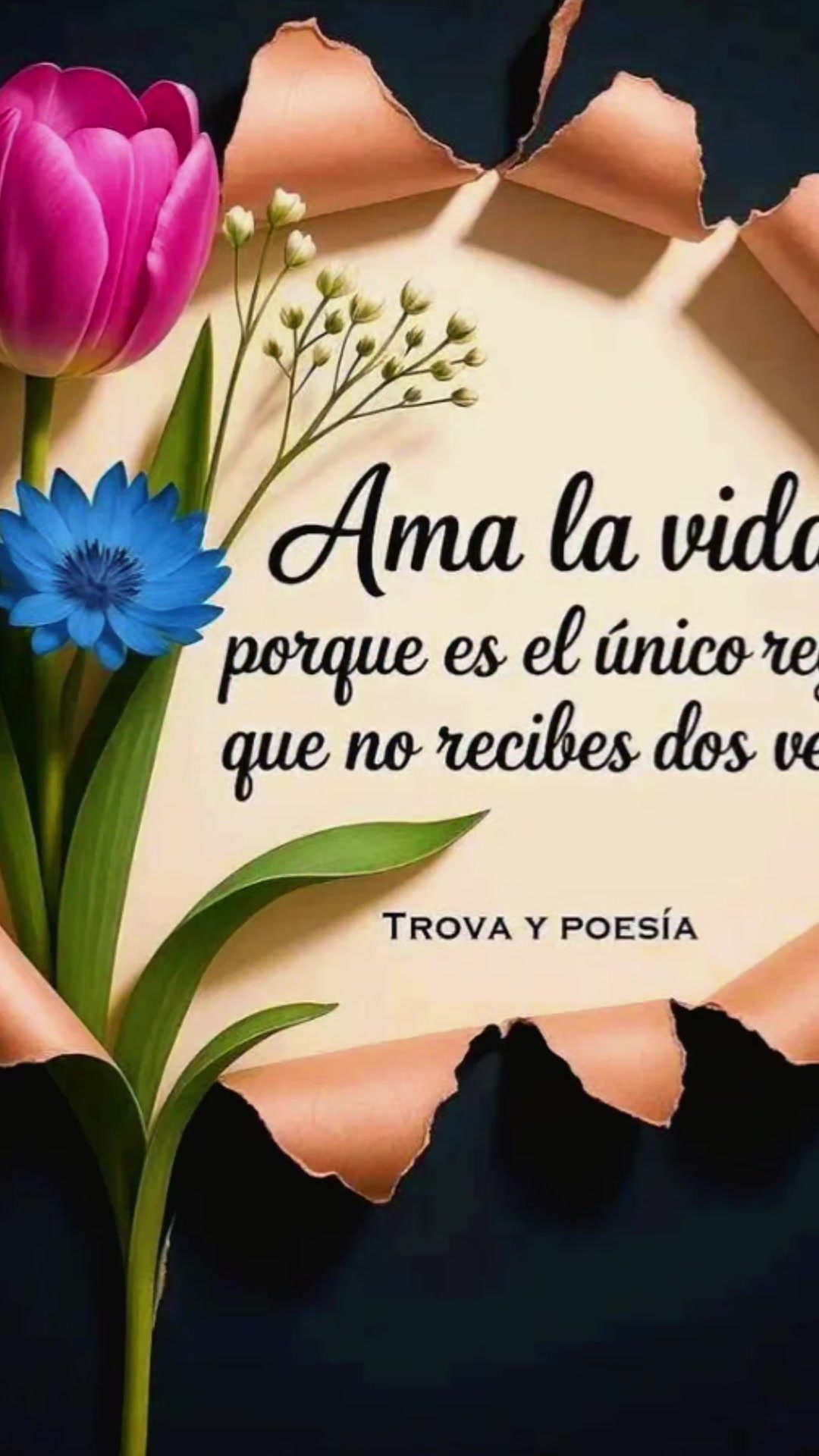 @Rosa 🇻🇪💥✨💪0202✨💥🇻🇪