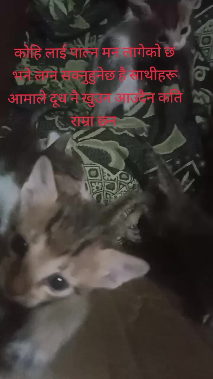 @kalpana thakuri123