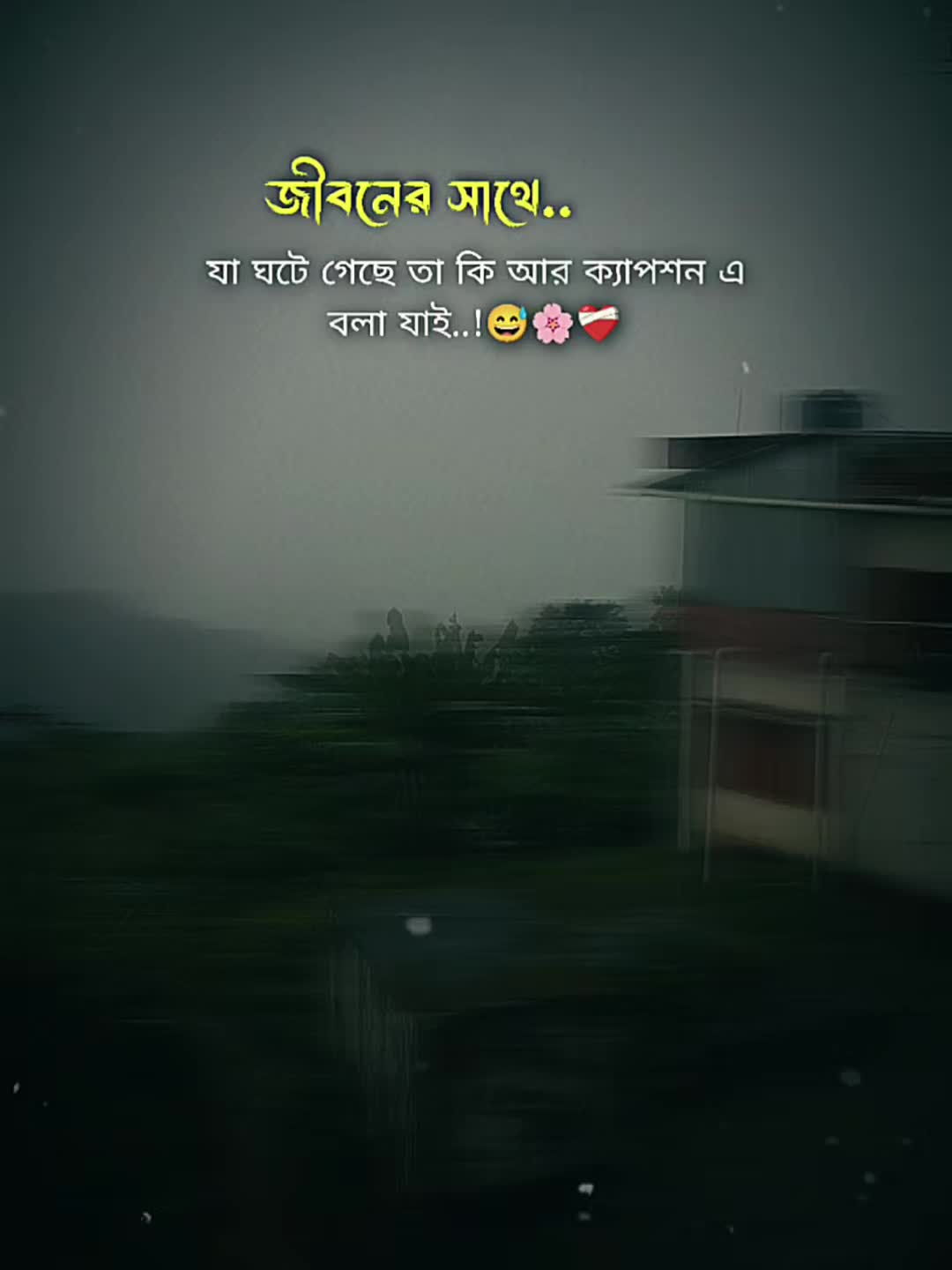 @🌸🌸メʀꫝᴊᴜ࿐🌸🌸