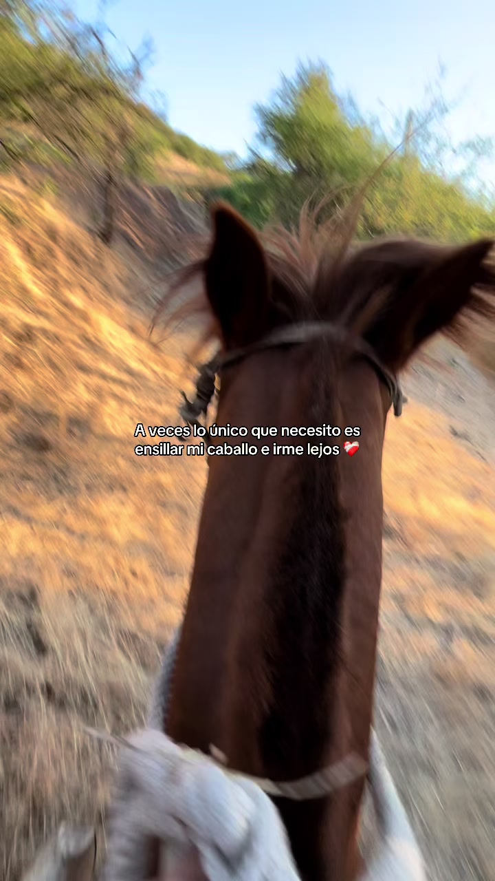 @Isidora