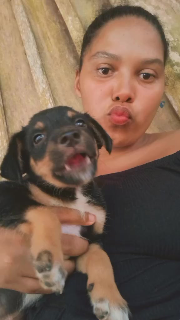 @Karina Bastos